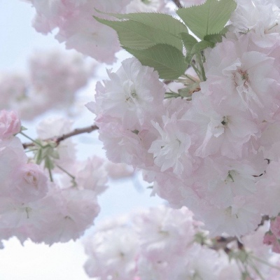 黔西FurryQQ群介绍